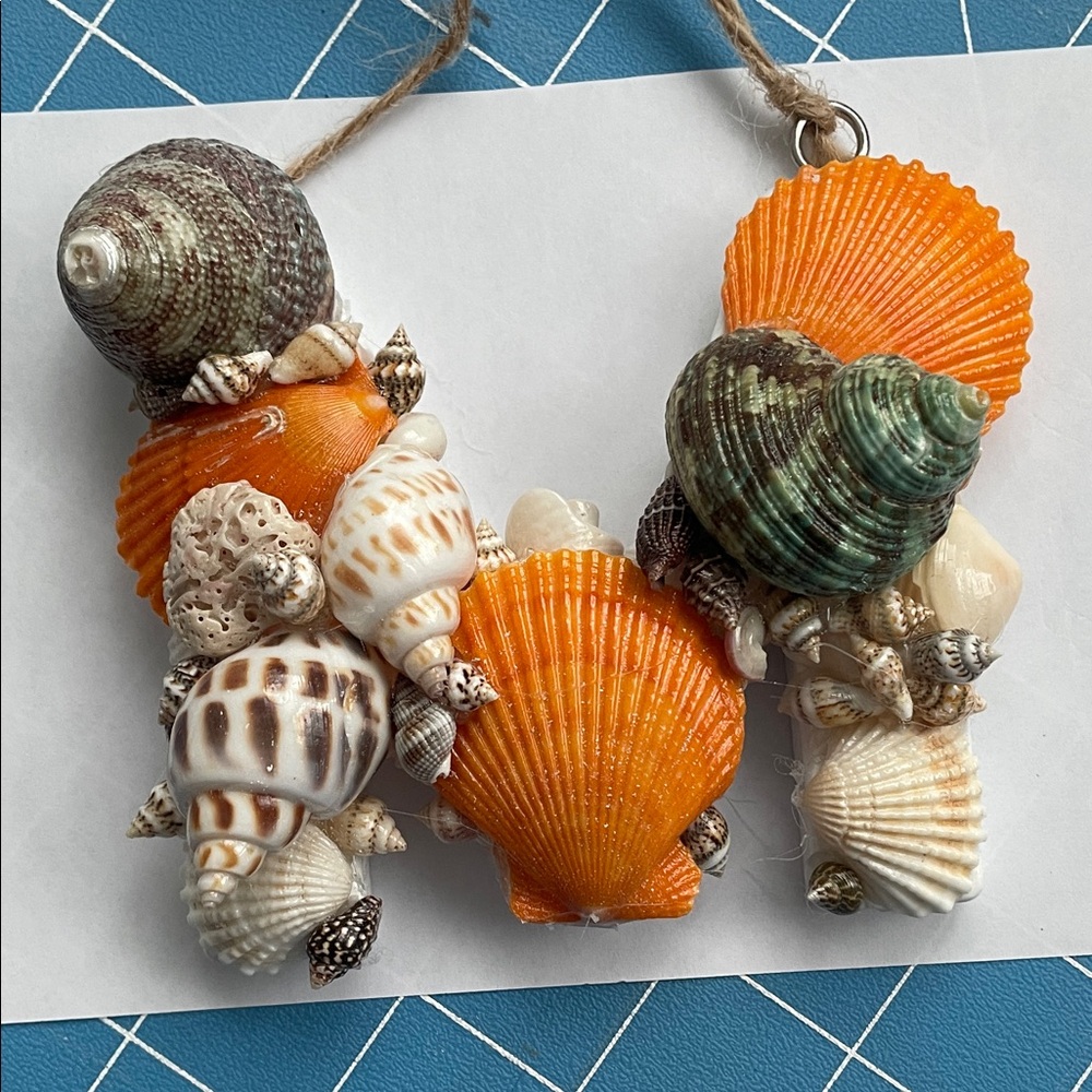 Colorful Seashell Decoration